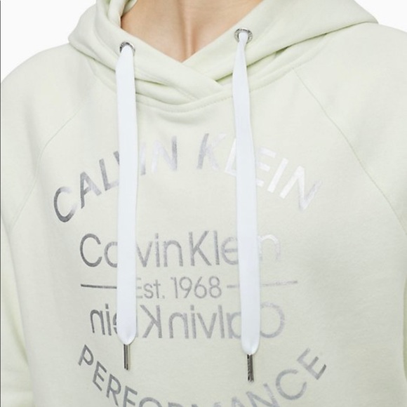 Performance Metallic Logo Drawstring Raglan Hoodie - Picture 3 of 9